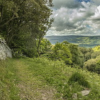 Buy canvas prints of Wall and view to Dunkery from Selworthy Combe by Shaun Davey