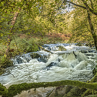 Buy canvas prints of Horner Water in flood, Exmoor National Park by Shaun Davey