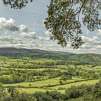 Buy canvas prints of A view from beneath the trees of Selworthy Woods by Shaun Davey