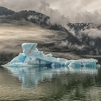 Buy canvas prints of Iceberg, Le Conte Bay, Petersburg, Alaska by Shaun Davey