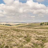 Buy canvas prints of Subtle colours of Exmoor moorland in spring by Shaun Davey