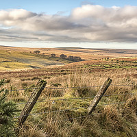 Buy canvas prints of Frosty view Southwest from Larkbarrow, Exmoor by Shaun Davey