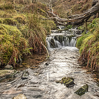 Buy canvas prints of Sweetworthy Combe, Dunkery, Exmoor by Shaun Davey