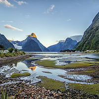 Buy canvas prints of Milford Sound at Dawn, New Zealand by Shaun Davey