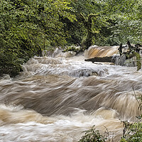 Buy canvas prints of Horner Water in Flood by Shaun Davey