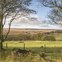Buy canvas prints of The High Moor of Exmoor by Shaun Davey