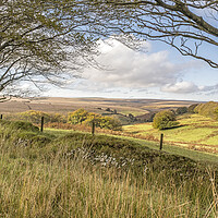 Buy canvas prints of The High Moor of Exmoor by Shaun Davey