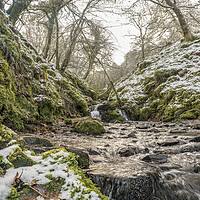 Buy canvas prints of A stream tumbles down Aller Combe - part of the Snowy landscape around Dunkery Hill, Exmoor National Park by Shaun Davey