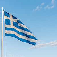 Buy canvas prints of the greek fringed blue and white flag waving in the wind by Stig Alenäs