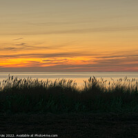 Buy canvas prints of silhouett of dune grass against the sea and the ri by Stig Alenäs
