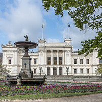 Buy canvas prints of Blooming magnolia and tulips in front of Lund University by Stig Alenäs