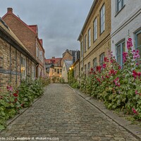 Buy canvas prints of old cobblestone alleyway with half timbered houses and red holly by Stig Alenäs