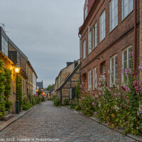 Buy canvas prints of Hjortgatan is a scenic alley with hollyhocks in the old town of  by Stig Alenäs