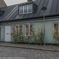 Buy canvas prints of picturesque house with  hollyhocks in Lund city by Stig Alenäs