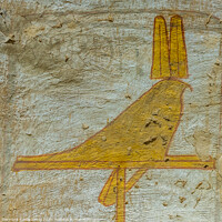 Buy canvas prints of The falcon of Horus, a wall-painting in the valley of the kings by Stig Alenäs