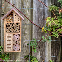 Buy canvas prints of insect hotel on an old plank  by Stig Alenäs