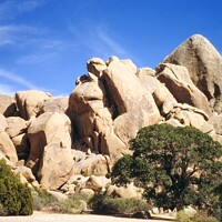 Buy canvas prints of Joshua Tree Park Monoliths by Martin Baroch