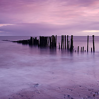 Buy canvas prints of Pink Sumset by Richard Taylor