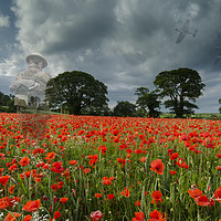 Buy canvas prints of They shall not grow old by Richard Taylor