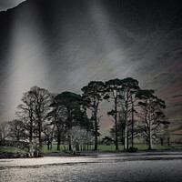 Buy canvas prints of Trees at Buttermere Lake by Alec Stewart