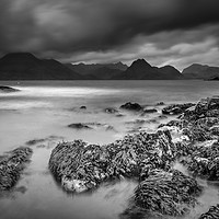 Buy canvas prints of Elgol and the Black Cuillins by Alec Stewart
