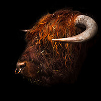 Buy canvas prints of Bull headed by Steve Taylor