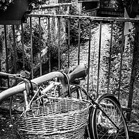 Buy canvas prints of  Monochrome bike wicker basket by Steve Taylor