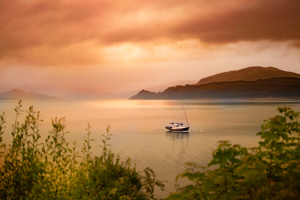Sunset on a western sea loch Picture Board by Steve Taylor