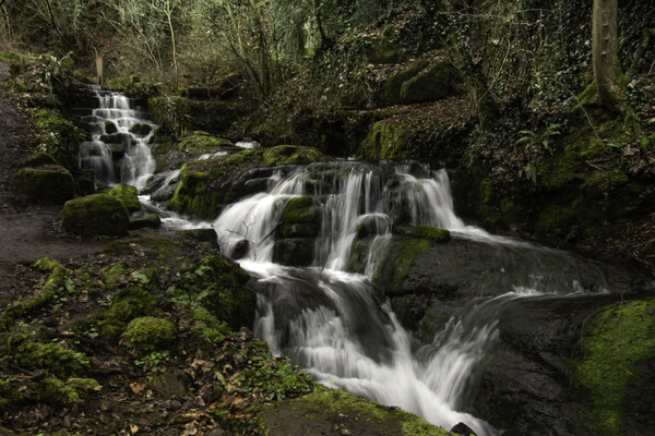 Badger Dingle Waterfall  Picture Board by Steve Taylor