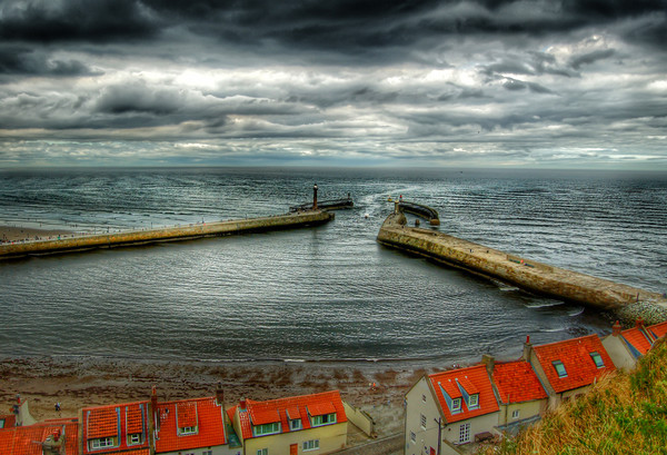 Whitby Harbour  Picture Board by Steve Taylor