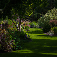 Buy canvas prints of Le Jardin des délices by Steve Taylor