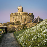 Buy canvas prints of  St Mawes Castle in South Cornwall  by Mick Blakey