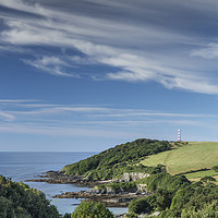 Buy canvas prints of Blue Skies over Gribbin Head, Cornwall by Mick Blakey