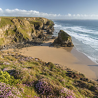 Buy canvas prints of Summer Thrift, Bedruthan Steps by Mick Blakey