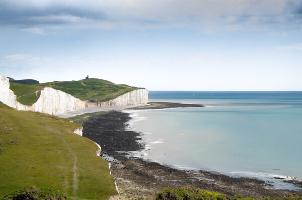 Birling Gap and Belle Tout Picture Board by Mark Jones