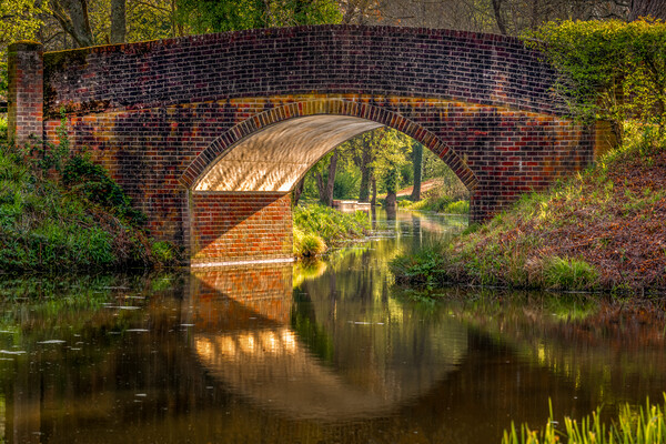Bridge over Wey and Arun Canal Picture Board by Mark Jones