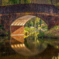 Buy canvas prints of Bridge over Wey and Arun Canal by Mark Jones