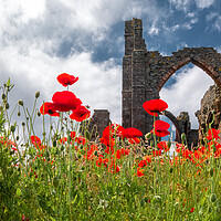 Buy canvas prints of Poppies at Lindisfarne Priory by Mark Jones