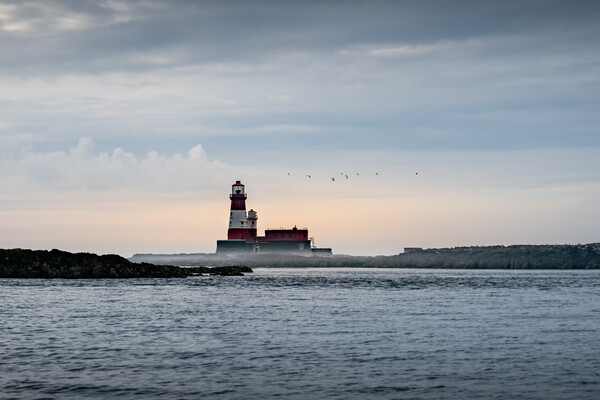 Longstone Lighthouse, Farne Islands, Northumberlan Picture Board by Mark Jones