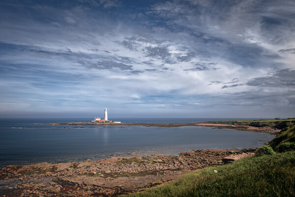St Mary's Lighthouse Picture Board by Mark Jones