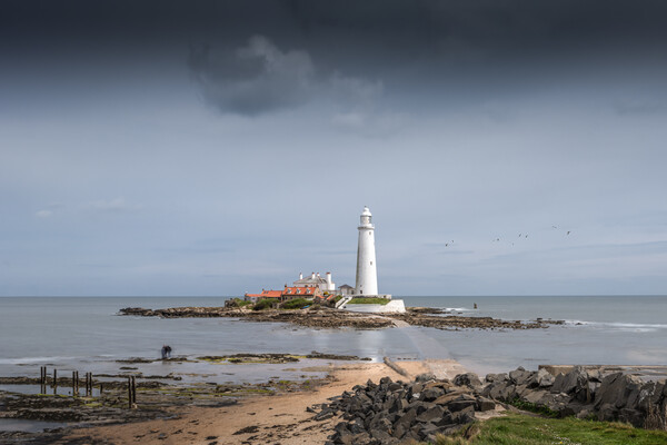 St Mary's Lighthouse Picture Board by Mark Jones