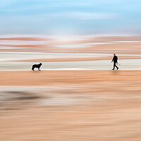 Buy canvas prints of One Man and his Dog by Mark Jones