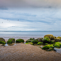 Buy canvas prints of Rocks, Alnmouth Beach by Mark Jones