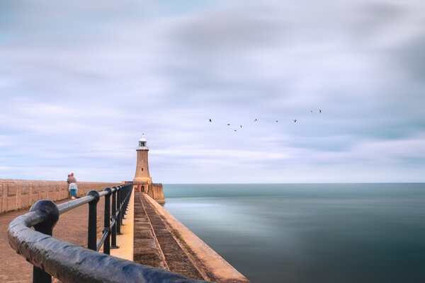 Tynemouth Pier and Lighthouse Picture Board by Mark Jones