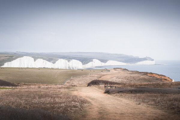 The Seven Sisters from Seaford Head Picture Board by Mark Jones