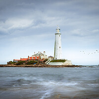 Buy canvas prints of St Mary's Lighthouse by Mark Jones