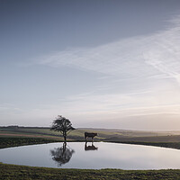 Buy canvas prints of Dew Pond on Ditchling Beacon by Mark Jones