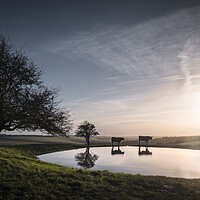Buy canvas prints of Dew Pond with Cows by Mark Jones