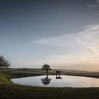 Buy canvas prints of Dew Pond with Cow and Moon by Mark Jones