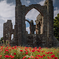 Buy canvas prints of Poppies at Lindisfarne Priory by Mark Jones